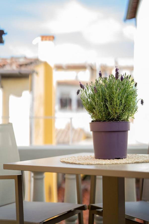 Olive Loft Lejlighed Firenze Eksteriør billede